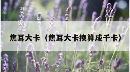 焦耳大卡（焦耳大卡换算成千卡）