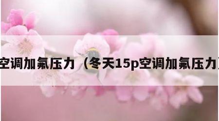 空调加氟压力（冬天15p空调加氟压力）