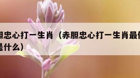 赤胆忠心打一生肖（赤胆忠心打一生肖最佳答案是什么）