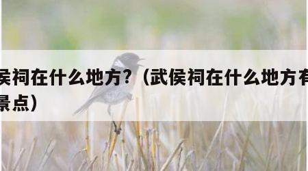 武侯祠在什么地方?（武侯祠在什么地方有几个景点）