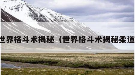 世界格斗术揭秘（世界格斗术揭秘柔道）