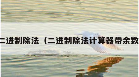 二进制除法（二进制除法计算器带余数）