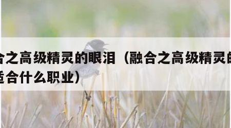 融合之高级精灵的眼泪（融合之高级精灵的眼泪适合什么职业）