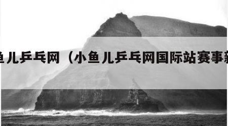 小鱼儿乒乓网（小鱼儿乒乓网国际站赛事新闻）