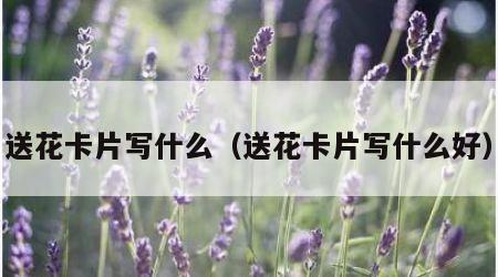 送花卡片写什么（送花卡片写什么好）