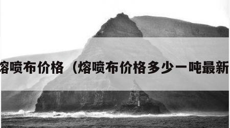 熔喷布价格（熔喷布价格多少一吨最新）