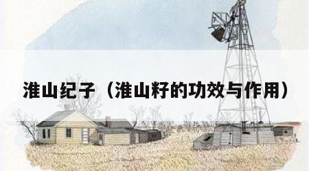 淮山纪子（淮山籽的功效与作用）