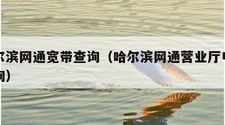 哈尔滨网通宽带查询（哈尔滨网通营业厅电话查询）