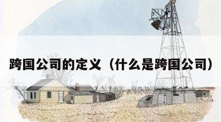 跨国公司的定义（什么是跨国公司）