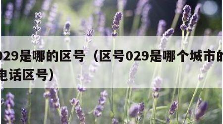 029是哪的区号（区号029是哪个城市的电话区号）