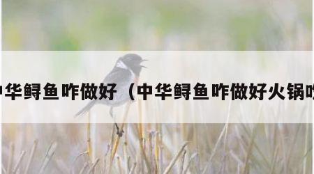 中华鲟鱼咋做好（中华鲟鱼咋做好火锅吃）