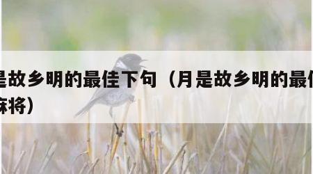 月是故乡明的最佳下句（月是故乡明的最佳下句麻将）