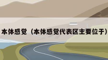 本体感觉（本体感觉代表区主要位于）