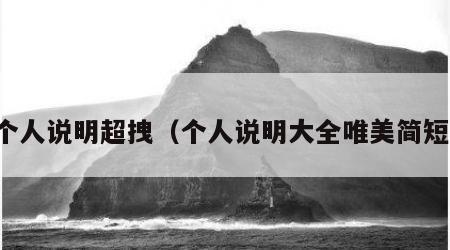 个人说明超拽（个人说明大全唯美简短）