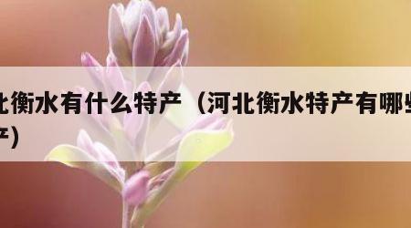 河北衡水有什么特产（河北衡水特产有哪些土特产）