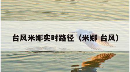 台风米娜实时路径（米娜 台风）
