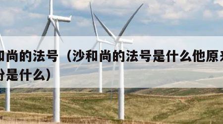 沙和尚的法号（沙和尚的法号是什么他原来的身份是什么）