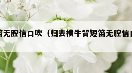 短笛无腔信口吹（归去横牛背短笛无腔信口吹）