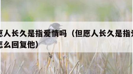 但愿人长久是指爱情吗（但愿人长久是指爱情吗怎么回复他）