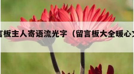 留言板主人寄语流光字（留言板大全暖心文字）
