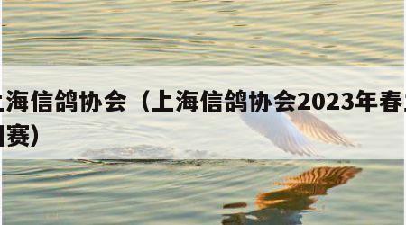 上海信鸽协会（上海信鸽协会2023年春兰州赛）