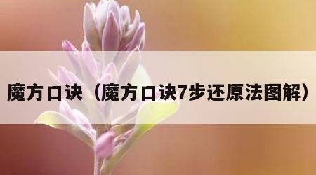 魔方口诀（魔方口诀7步还原法图解）