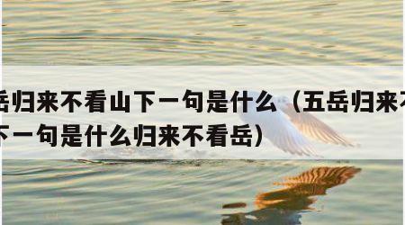 五岳归来不看山下一句是什么（五岳归来不看山下一句是什么归来不看岳）