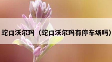 蛇口沃尔玛（蛇口沃尔玛有停车场吗）