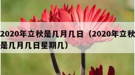 2020年立秋是几月几日（2020年立秋是几月几日星期几）