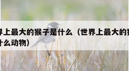 世界上最大的猴子是什么（世界上最大的猴子是什么动物）