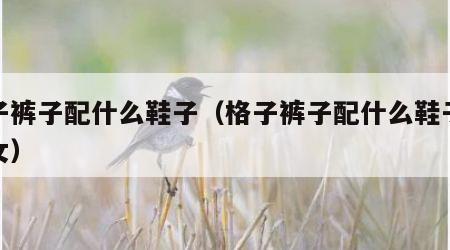 格子裤子配什么鞋子（格子裤子配什么鞋子好看女）