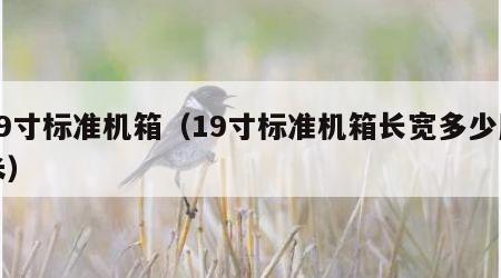 19寸标准机箱（19寸标准机箱长宽多少厘米）