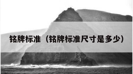 铭牌标准（铭牌标准尺寸是多少）