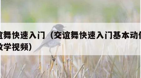 交谊舞快速入门（交谊舞快速入门基本动作分解教学视频）