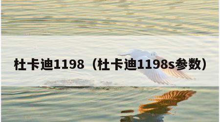 杜卡迪1198（杜卡迪1198s参数）