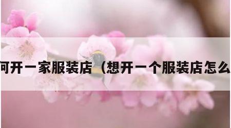 如何开一家服装店（想开一个服装店怎么开）