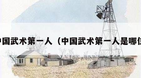 中国武术第一人（中国武术第一人是哪位）