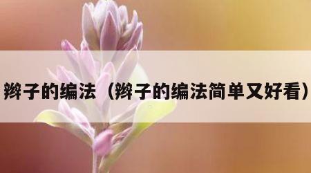辫子的编法（辫子的编法简单又好看）