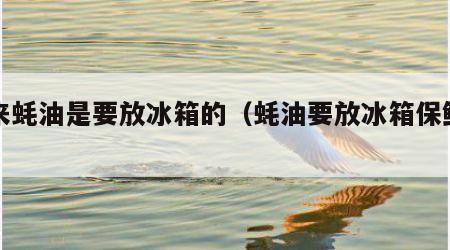原来蚝油是要放冰箱的（蚝油要放冰箱保鲜吗）