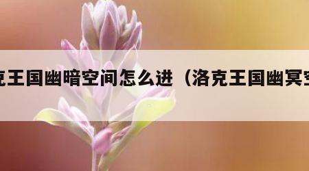 洛克王国幽暗空间怎么进（洛克王国幽冥空间）