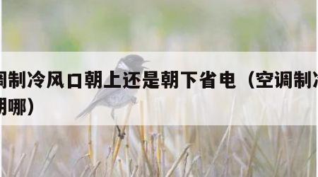 空调制冷风口朝上还是朝下省电（空调制冷风口朝哪）