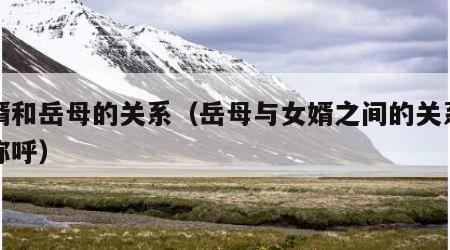 女婿和岳母的关系（岳母与女婿之间的关系怎么称呼）