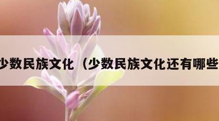 少数民族文化（少数民族文化还有哪些）