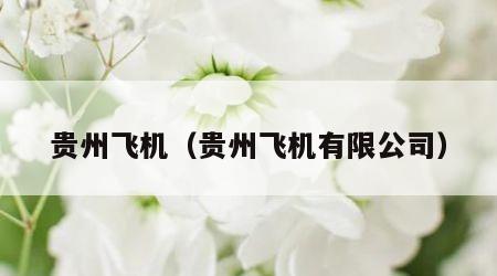 贵州飞机（贵州飞机有限公司）