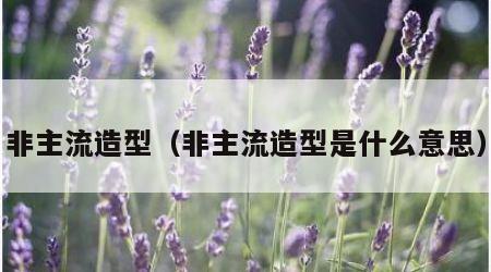 非主流造型（非主流造型是什么意思）