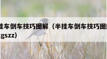 半挂车倒车技巧图解（半挂车倒车技巧图解pkjkgszz）