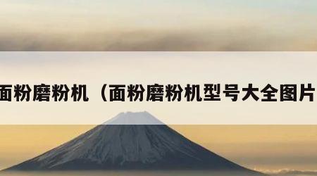 面粉磨粉机（面粉磨粉机型号大全图片）