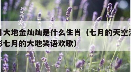 七月大地金灿灿是什么生肖（七月的天空流光溢彩七月的大地笑语欢歌）