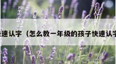快速认字（怎么教一年级的孩子快速认字）
