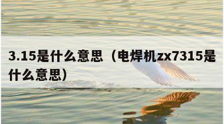 3.15是什么意思（电焊机zx7315是什么意思）
